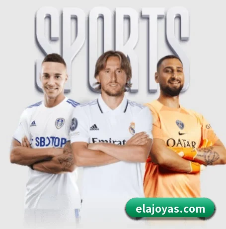 华体会网址 APP 界面